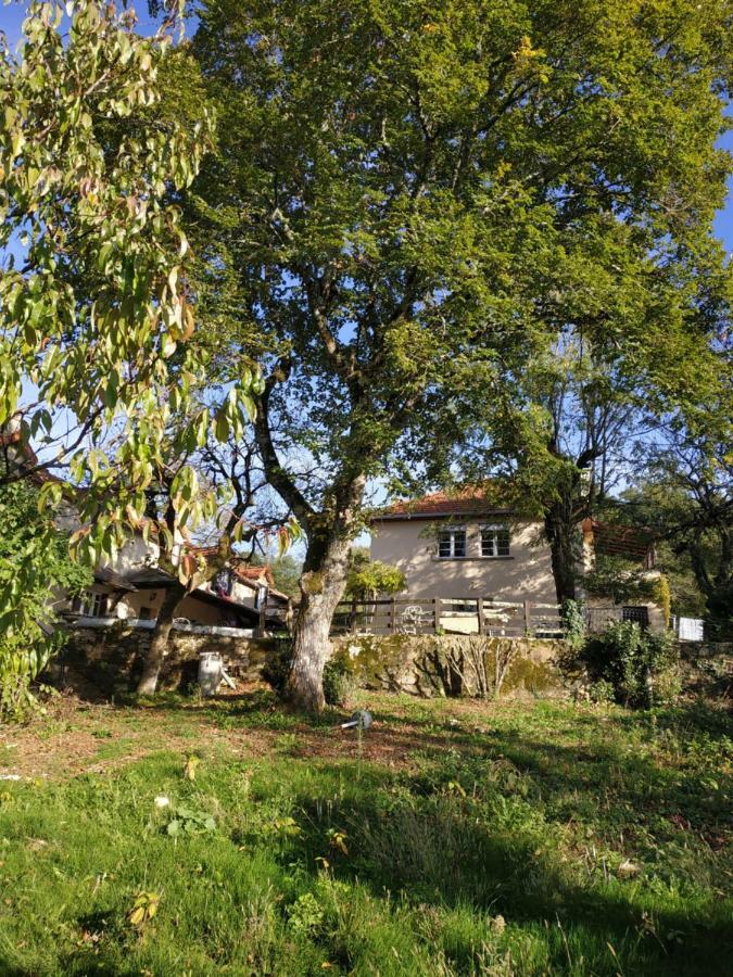 Grande Maison De Au Coeur Du Perigord Noir Nature Et Confort Country house Domme